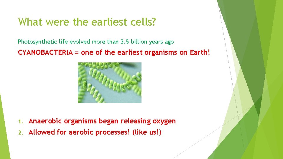 What were the earliest cells? Photosynthetic life evolved more than 3. 5 billion years
