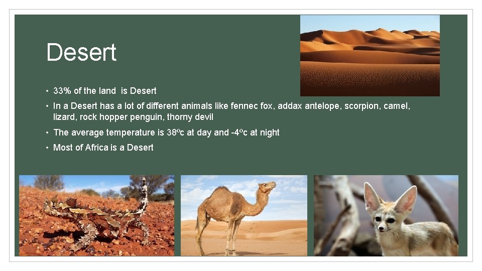 Desert • 33% of the land is Desert • In a Desert has a