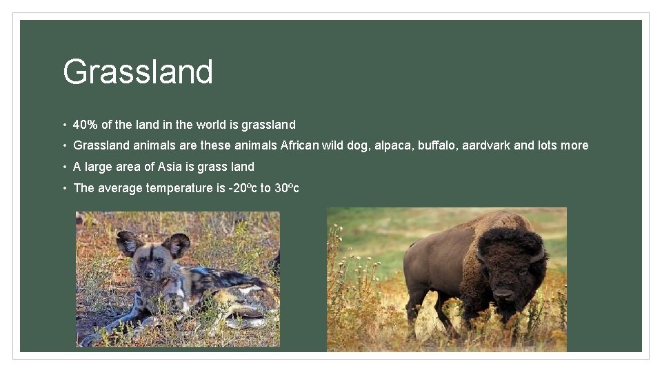 Grassland • 40% of the land in the world is grassland • Grassland animals