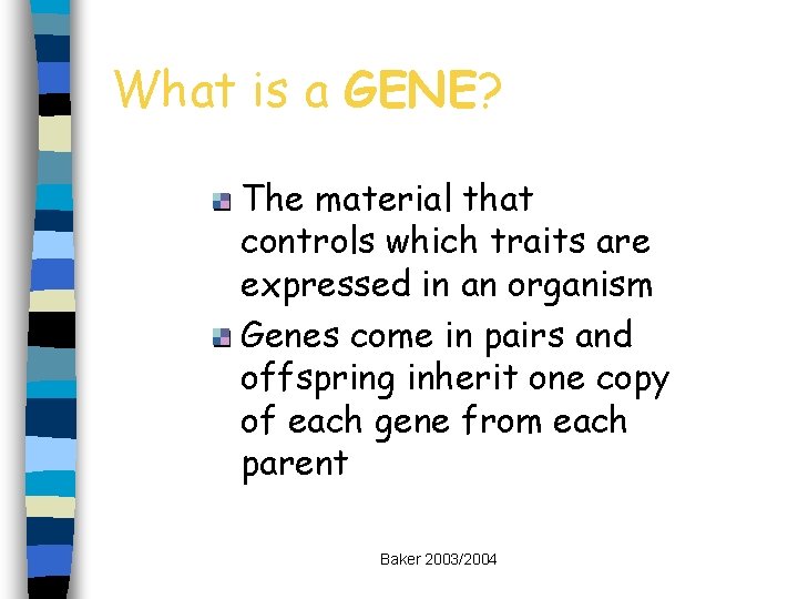 What is a GENE? The material that controls which traits are expressed in an