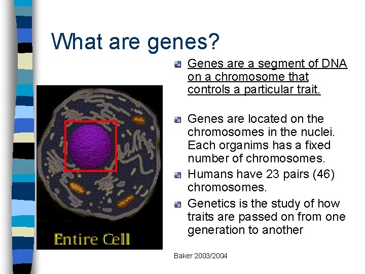 What are genes? Genes are a segment of DNA on a chromosome that controls
