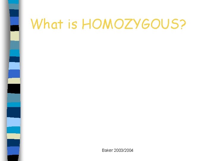 What is HOMOZYGOUS? Baker 2003/2004 