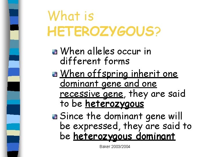 What is HETEROZYGOUS? When alleles occur in different forms When offspring inherit one dominant