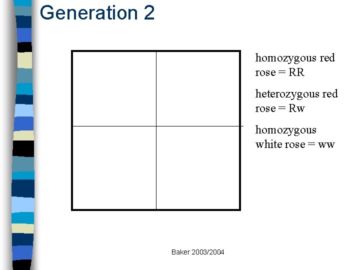 Generation 2 homozygous red rose = RR heterozygous red rose = Rw homozygous white