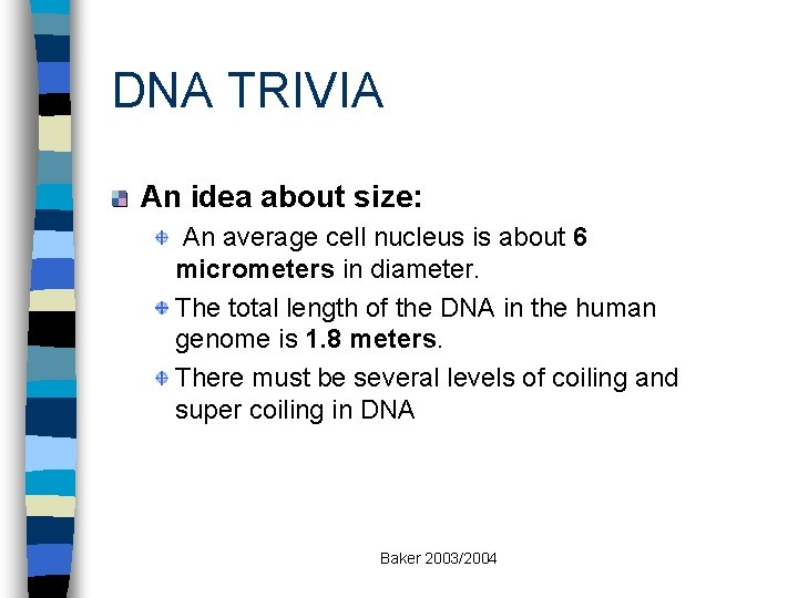 DNA TRIVIA An idea about size: An average cell nucleus is about 6 micrometers