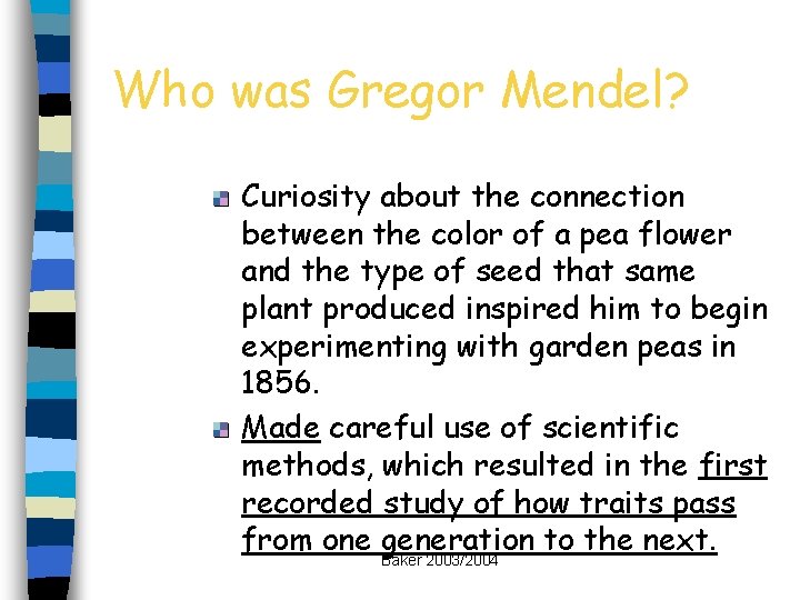 Who was Gregor Mendel? Curiosity about the connection between the color of a pea