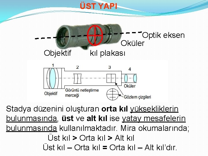 ÜST YAPI Objektif Optik eksen Oküler kıl plakası Stadya düzenini oluşturan orta kıl yüksekliklerin