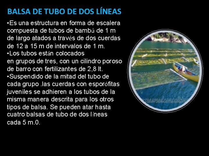 BALSA DE TUBO DE DOS LÍNEAS • Es una estructura en forma de escalera