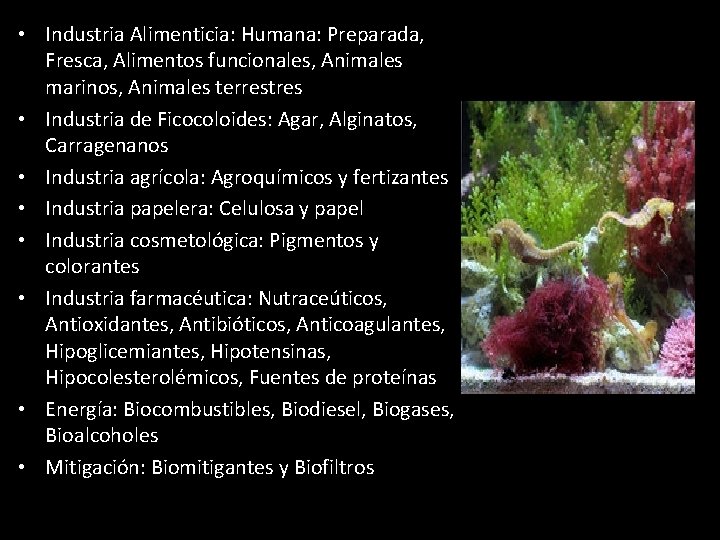  • Industria Alimenticia: Humana: Preparada, Fresca, Alimentos funcionales, Animales marinos, Animales terrestres •