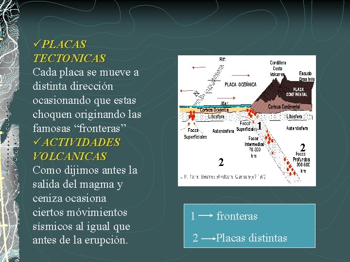 üPLACAS TECTONICAS Cada placa se mueve a distinta dirección ocasionando que estas choquen originando