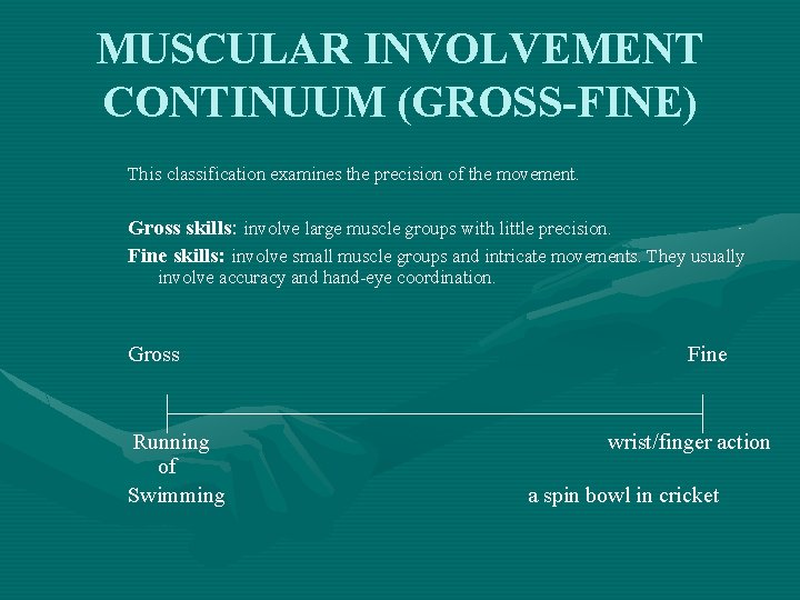 MUSCULAR INVOLVEMENT CONTINUUM (GROSS-FINE) This classification examines the precision of the movement. Gross skills: