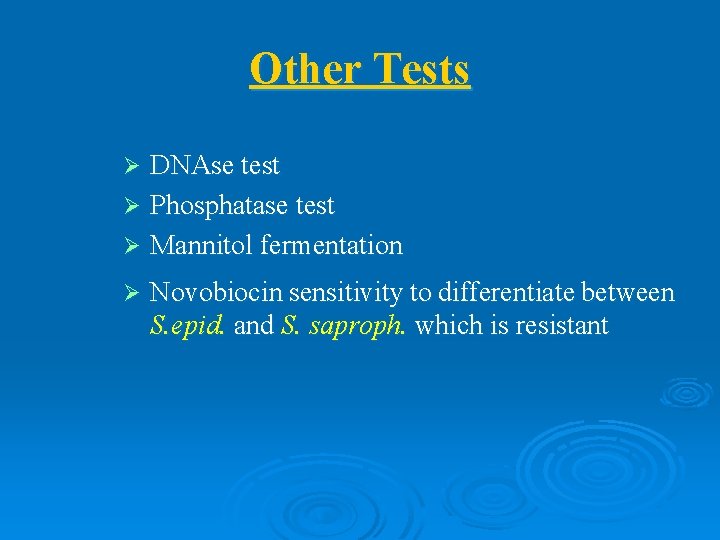Other Tests DNAse test Ø Phosphatase test Ø Mannitol fermentation Ø Ø Novobiocin sensitivity