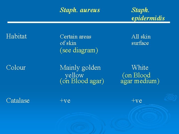 Habitat Staph. aureus Staph. epidermidis Certain areas of skin All skin surface (see diagram)