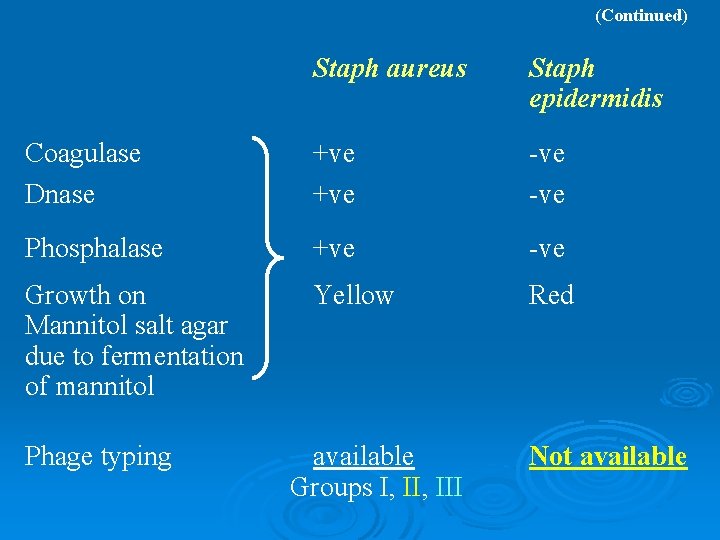 (Continued) Staph aureus Staph epidermidis Coagulase Dnase +ve -ve Phosphalase +ve -ve Growth on