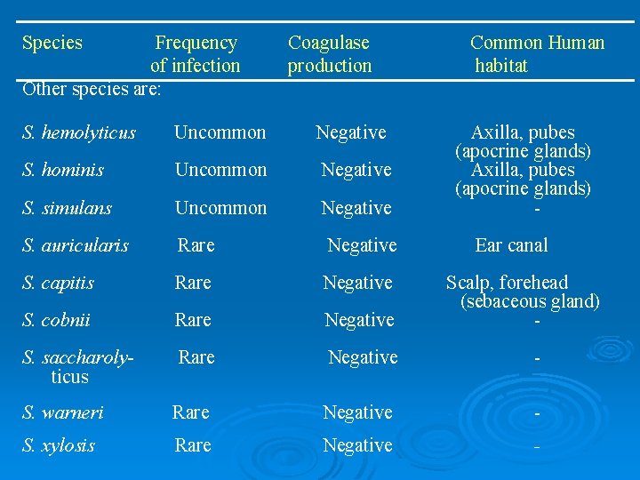 Species Frequency of infection Other species are: Coagulase production Common Human habitat S. hemolyticus