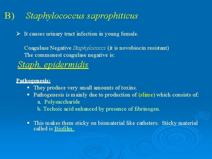 B) Staphylococcus saprophiticus Ø It causes urinary tract infection in young female. Coagulase Negative