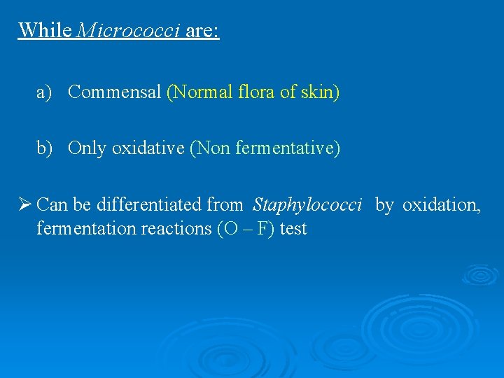 While Micrococci are: a) Commensal (Normal flora of skin) b) Only oxidative (Non fermentative)