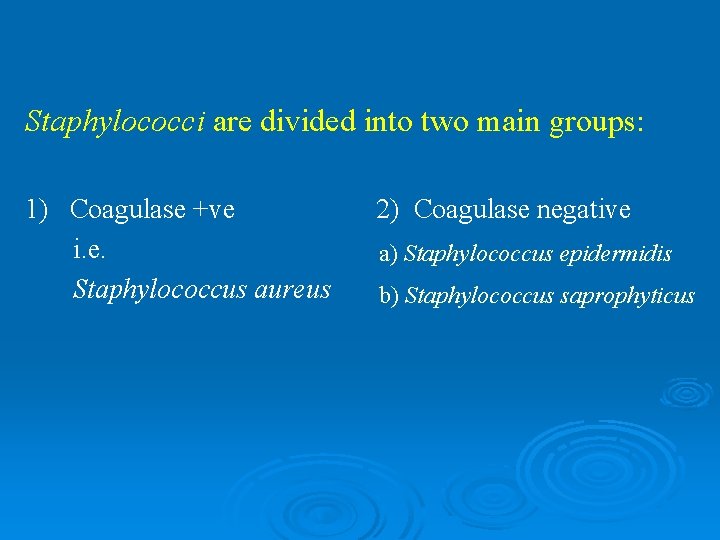 Staphylococci are divided into two main groups: 1) Coagulase +ve i. e. Staphylococcus aureus