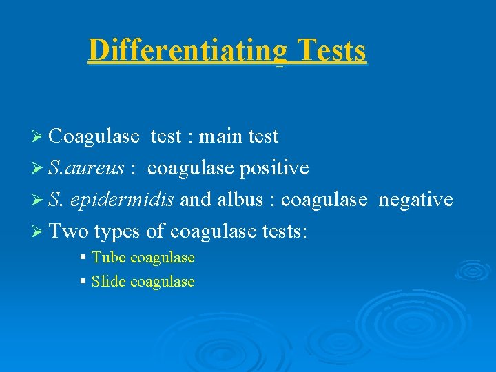 Differentiating Tests Ø Coagulase test : main test Ø S. aureus : coagulase positive