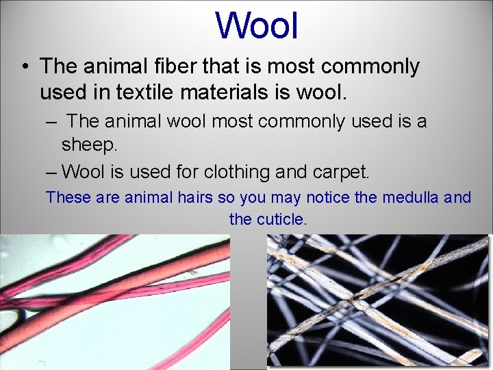 Wool • The animal fiber that is most commonly used in textile materials is