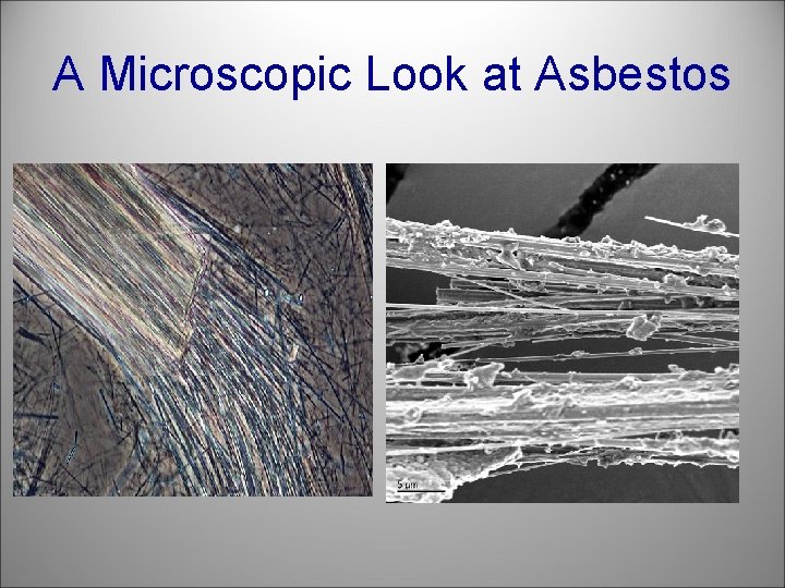 A Microscopic Look at Asbestos 