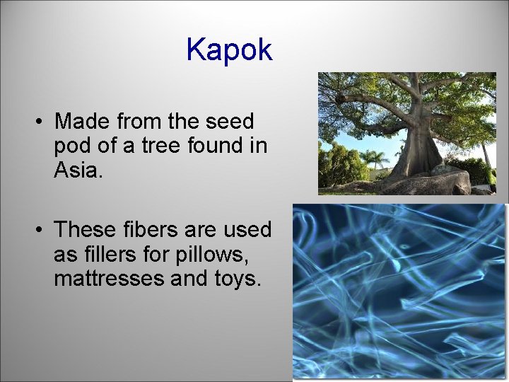 Kapok • Made from the seed pod of a tree found in Asia. •