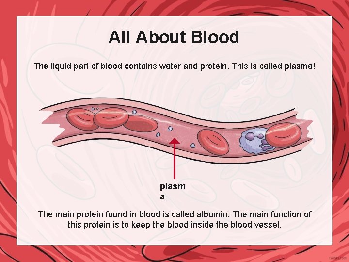 All About Blood The liquid part of blood contains water and protein. This is