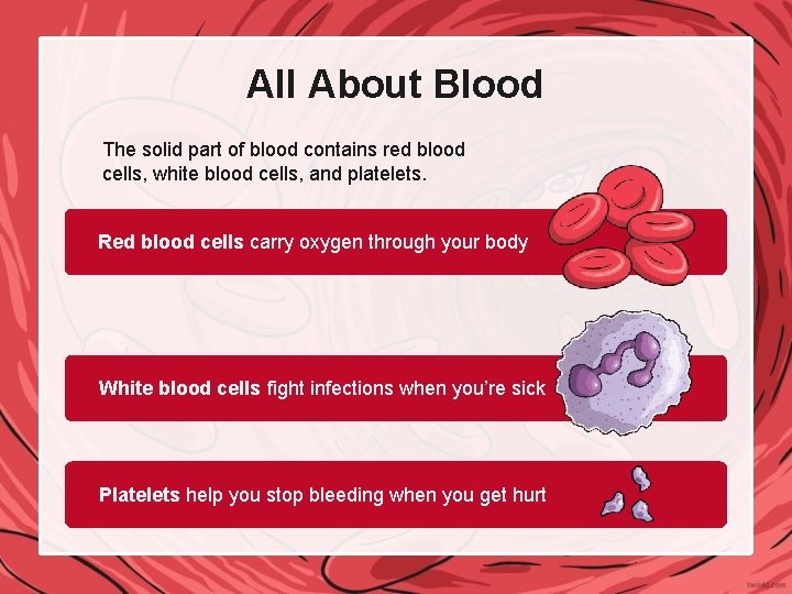 All About Blood The solid part of blood contains red blood cells, white blood