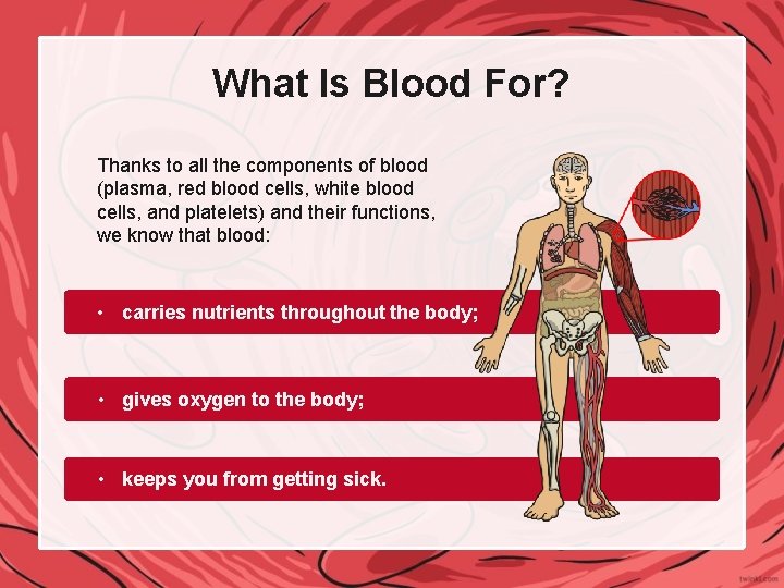 What Is Blood For? Thanks to all the components of blood (plasma, red blood