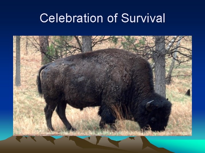 Celebration of Survival 