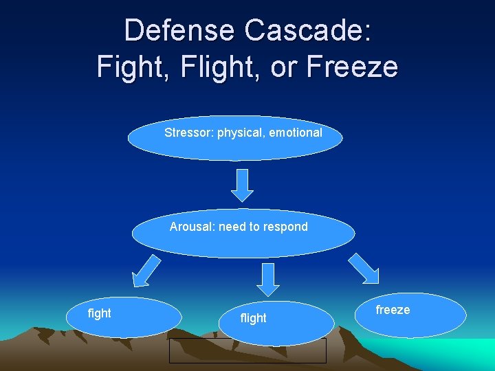 Defense Cascade: Fight, Flight, or Freeze Stressor: physical, emotional Arousal: need to respond fight