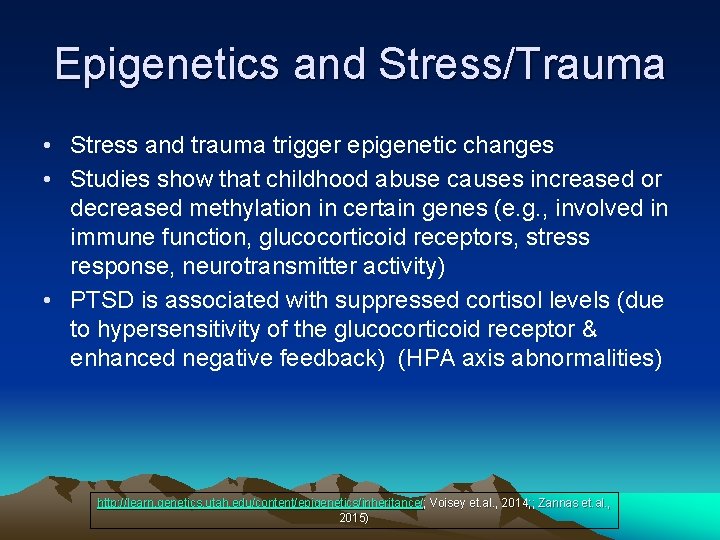 Epigenetics and Stress/Trauma • Stress and trauma trigger epigenetic changes • Studies show that