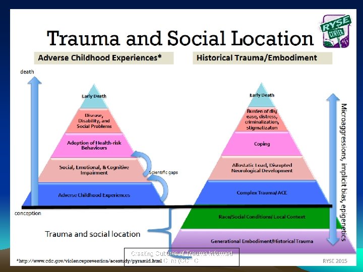 Creating Cultures of Trauma Informed Care (CCTIC) 