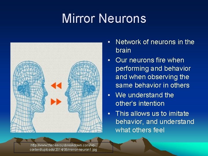 Mirror Neurons • Network of neurons in the brain • Our neurons fire when