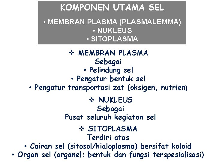 KOMPONEN UTAMA SEL • MEMBRAN PLASMA (PLASMALEMMA) • NUKLEUS • SITOPLASMA v MEMBRAN PLASMA