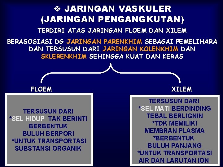 v JARINGAN VASKULER (JARINGAN PENGANGKUTAN) TERDIRI ATAS JARINGAN FLOEM DAN XILEM BERASOSIASI DG JARINGAN