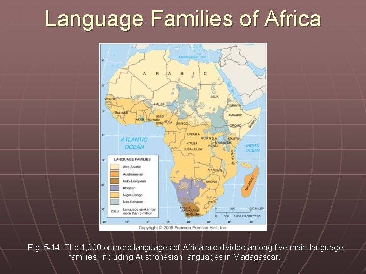 Language Families of Africa Fig. 5 -14: The 1, 000 or more languages of