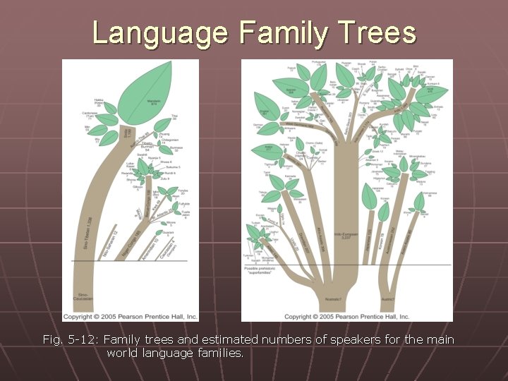 Language Family Trees Fig. 5 -12: Family trees and estimated numbers of speakers for