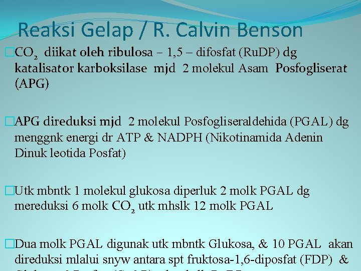 Reaksi Gelap / R. Calvin Benson �CO 2 diikat oleh ribulosa – 1, 5