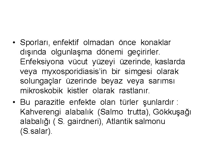  • Sporları, enfektif olmadan önce konaklar dışında olgunlaşma dönemi geçirirler. Enfeksiyona vücut yüzeyi