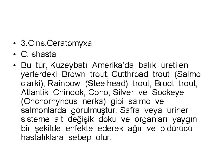  • 3. Cins. Ceratomyxa • C. shasta • Bu tür, Kuzeybatı Amerika’da balık