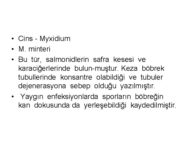  • Cins - Myxidium • M. minteri • Bu tür, salmonidlerin safra kesesi
