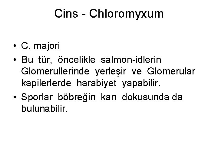 Cins - Chloromyxum • C. majori • Bu tür, öncelikle salmon-idlerin Glomerullerinde yerleşir ve