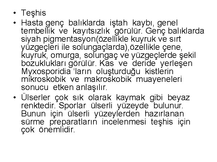  • Teşhis • Hasta genç balıklarda iştah kaybı, genel tembellik ve kayıtsızlık görülür.