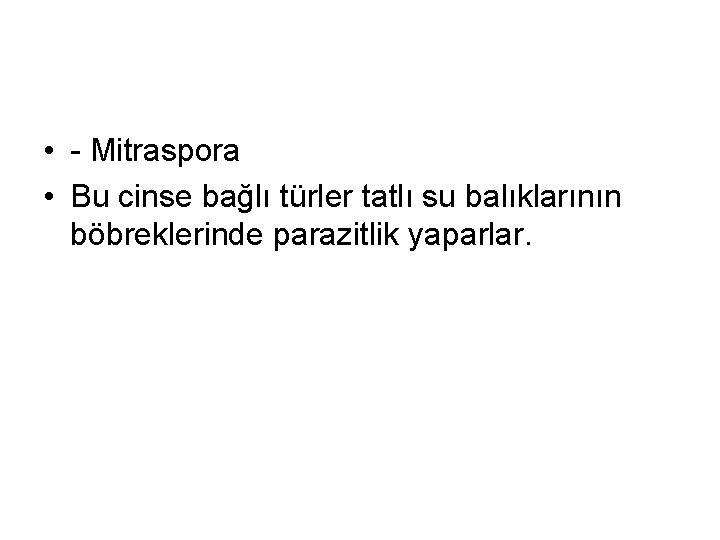  • - Mitraspora • Bu cinse bağlı türler tatlı su balıklarının böbreklerinde parazitlik