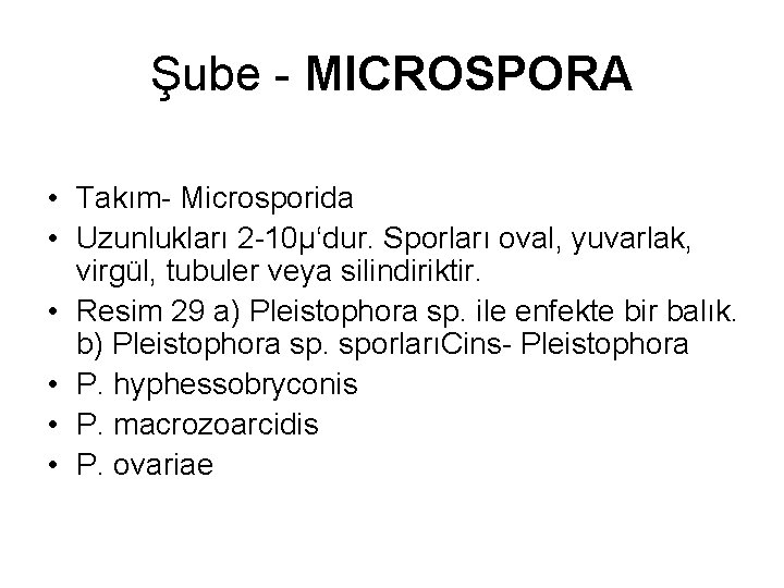 Şube - MICROSPORA • Takım- Microsporida • Uzunlukları 2 -10µ‘dur. Sporları oval, yuvarlak, virgül,