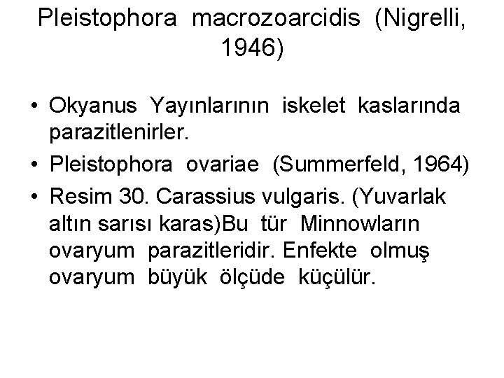 Pleistophora macrozoarcidis (Nigrelli, 1946) • Okyanus Yayınlarının iskelet kaslarında parazitlenirler. • Pleistophora ovariae (Summerfeld,