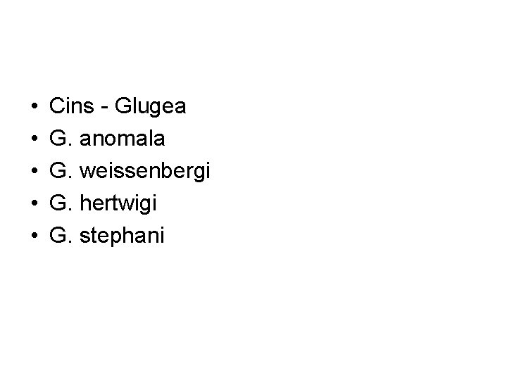  • • • Cins - Glugea G. anomala G. weissenbergi G. hertwigi G.