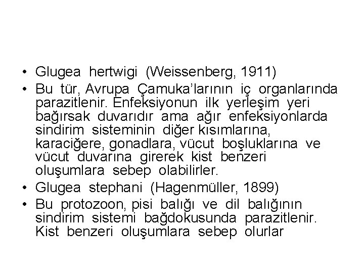  • Glugea hertwigi (Weissenberg, 1911) • Bu tür, Avrupa Çamuka’larının iç organlarında parazitlenir.