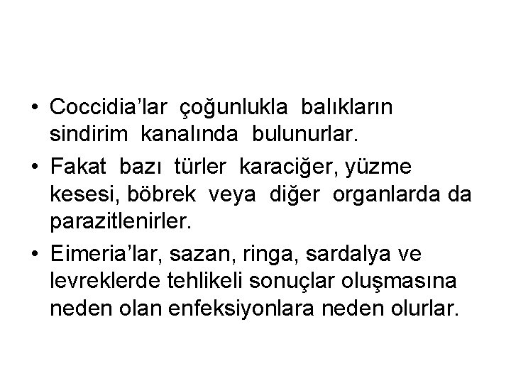  • Coccidia’lar çoğunlukla balıkların sindirim kanalında bulunurlar. • Fakat bazı türler karaciğer, yüzme